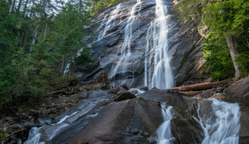 A tranquil forest waterfall